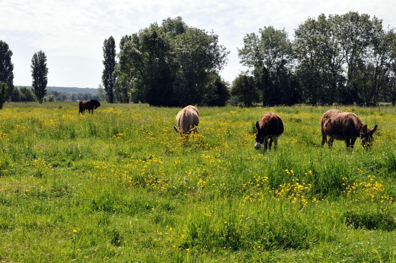 Berville-sur-Seine Les Mouettes - La Paix Du Bord De Seineヴィラ エクステリア 写真